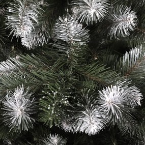 Vianočná borovica 220 cm