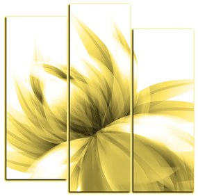 Obraz na plátne - Elegantný kvet - štvorec 3147ZC (75x75 cm)
