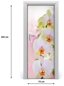 Samolepiace fototapety na dvere biela orchidea 75x205 cm