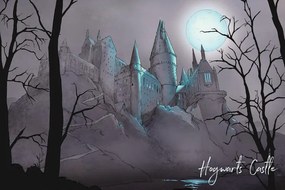 Umelecká tlač Harry Potter - Nocturnal Hogwarts Castlle