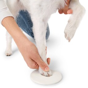 Súprava na vytváranie odtlačkov labiek