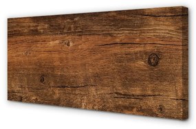 Obraz canvas Drevo uzlov obilia 100x50 cm
