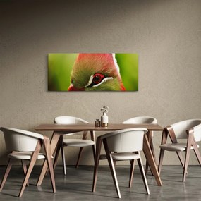 Obraz farebného vtáka (120x50 cm)