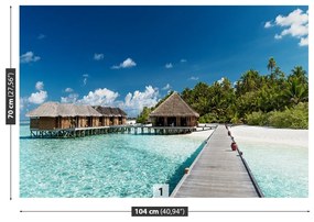 Fototapeta Vliesová Pláž maldivy 312x219 cm