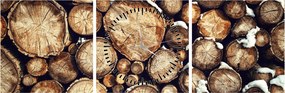 Obraz - Drevo v snehu (s hodinami) (90x30 cm)
