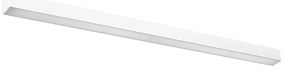 Nástenné LED svietidlo Pinne 117, 1x LED 31w, 3000k, w