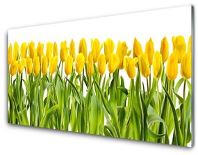 Sklenený obklad Do kuchyne Tulipány kvety príroda 140x70 cm