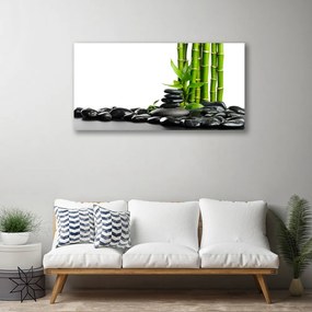 Obraz na plátne Bambus kamene umenie 120x60 cm