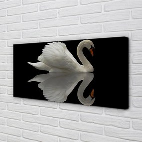 Obraz na plátne Swan v noci 125x50 cm