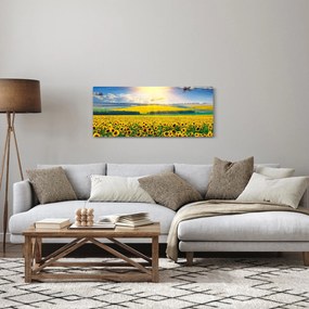 Obraz - Pole slnečníc (120x50 cm)