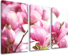 Obraz na stenu 3 dielny KVETY KV002E30 - 120x80 cm