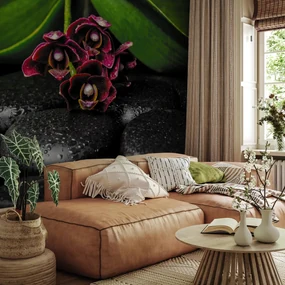 Fototapeta - Orchidea a kamene (147x102 cm)