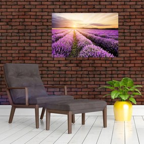 Obraz - Východ slnka v levanduľovom poli (90x60 cm)