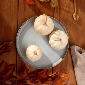 Tanier SANOS rebrovaný / sivý 707230