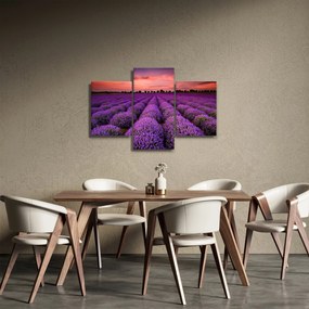 Obraz - Levanduľové pole (90x60 cm)
