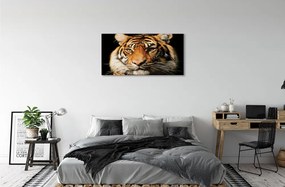 Obraz na plátne tiger 120x60 cm