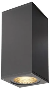 Vonkajšie nástenné svietidlo SLV BIG THEOWALL LED 3000K 234505
