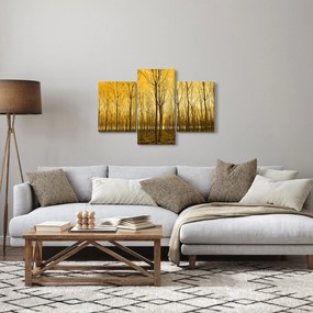 Obraz lesa pri západe slnka (90x60 cm)