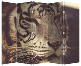 Paraván - Tiger (210x170 cm)