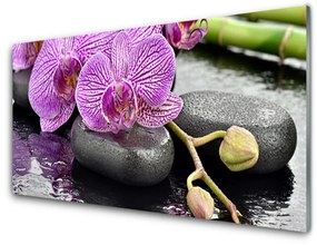 Sklenený obklad Do kuchyne Kamene zen orchidea kúpele 120x60 cm