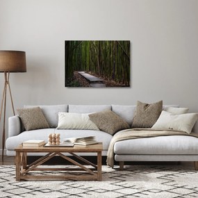Sklenený obraz - Medzi bambusy (70x50 cm)