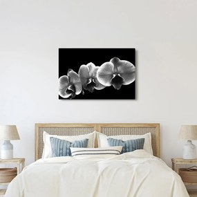 Obraz kvetu orchidey (90x60 cm)