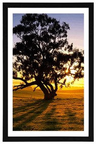 Plagát s paspartou osamelý strom pri západe slnka - 40x60 black