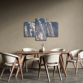 Obraz - Mrazík (90x60 cm)