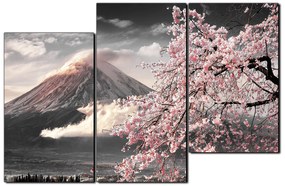 Obraz na plátne - Hora Fuji a čerešňové kvety na jar 1266QD (105x70 cm)