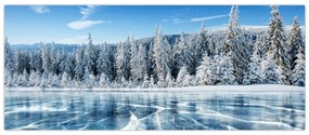 Obraz zamrznutého jazera a zasnežených stromov (120x50 cm)