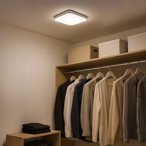 Stropné LED svietidlo Nemo, 1x LED 11w, 4000k, ch