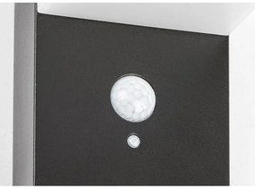 Rabalux 77009 - LED Solárne svietidlo so senzorom ZREBAR LED/6W/3,7V IP44