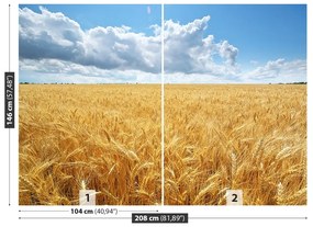 Fototapeta Vliesová Pšeničné polia 104x70 cm