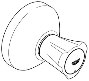 GROHE 19809001 - Vrchný diel podomietkového ventilu COSTA L lesklý chróm