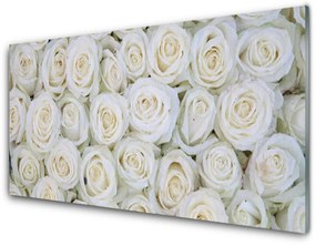 Obraz na skle Ruže kvety rastlina 100x50 cm