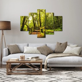Obraz machové džungle (150x105 cm)