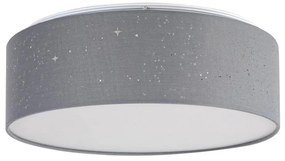 Rabalux - LED stropné svietidlo LED/22W/230V sivé