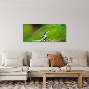 Obraz jašteričky (120x50 cm)