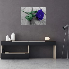 Sklenený obraz - Modrá ruža so zelenou stonkou (70x50 cm)