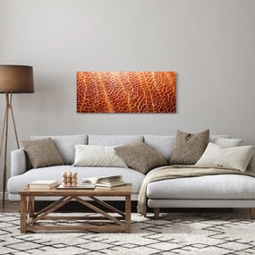 Obraz - Detail textúry (120x50 cm)
