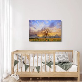 Obraz - Krajina so slnečnicami (90x60 cm)