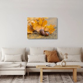 Sklenený obraz - Jesenné žalude (70x50 cm)