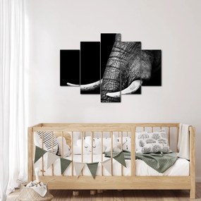 Obraz - Slonie kly (150x105 cm)