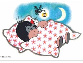 Drevené kocky s Krtkom - 6 ks