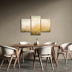 Obraz - Pole na jeseň (90x60 cm)