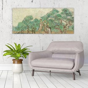 Obraz - Vincent van Gogh, The Olive Orchard, reprodukcia (120x50 cm)