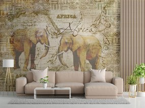 Gario Fototapeta Stará mapa a slony - Andrea Haase Materiál: Vliesová, Rozmery: 450 x 315 cm