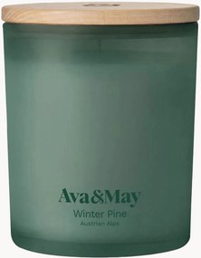 Vonná sviečka Winter Pine (Pine, Cedar Wood & Eucalyptus)