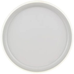 Brilliant - LED stmievateľné stropné svietidlo CARLOZ LED/16W/230V pr. 30 cm biela