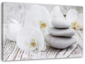 Obraz na plátně Lázeňské kameny Orchid Zen - 90x60 cm